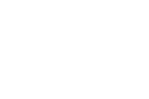 Flash Gordon